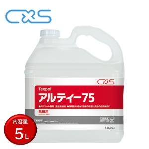 シーバイエス C×S サニッシュ 5L （3本） 食品添加物原料 業務用