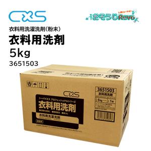 シーバイエス C×S 洗濯王 5L （1本） 衣料用洗濯洗剤 1剤で洗濯
