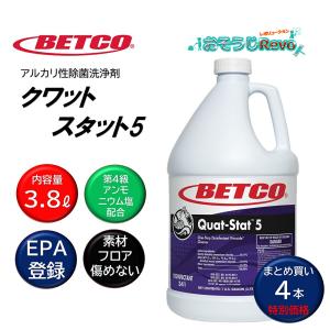 イシイ ステリPRO専用超音波加湿器 ISK-500 （1台） ステリプロ 空間