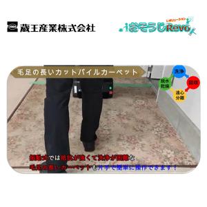 蔵王産業 マルチウォッシュプロLi (1台) ...の詳細画像5