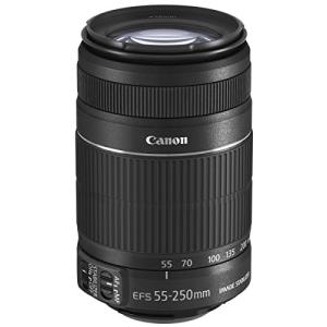 Canon 望遠ズームレンズ EF-S55-250mmの買取情報
