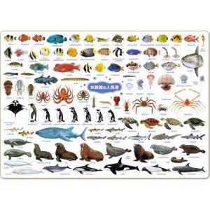 海の生き物 図鑑の商品一覧 通販 Yahoo ショッピング