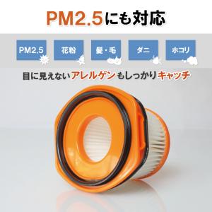 シャーク Shark フィルター 2個セット ...の詳細画像1