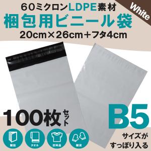 宅配 ビニール袋 100枚セット テープ付き 梱包用 20cm×30cm クリックポスト