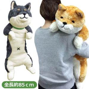 わん太 ごろ寝 ぬいぐるみ 柴犬 ビッグサイズ いぬぬいぐるみ 犬 わんた 抱き枕