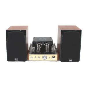 Pioneer パイオニア STEEZ AUDIO ポータブル ミュージックシステム