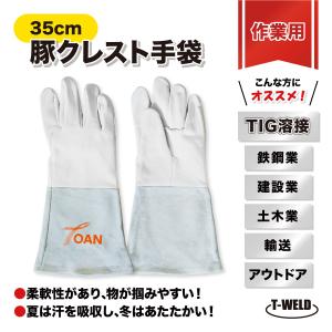 アルゴン溶接用革手袋 富士グローブ クレスト床袖（フリーサイズ）10双