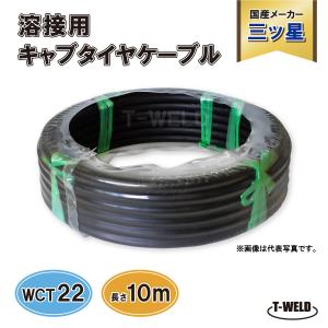 TOAN（東安） アーク溶接用 接続ケーブルセット 200A 10m ( 三ツ星