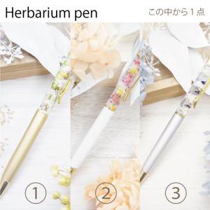 選べる ハーバリウム ボールペン サシェ 花 ...の詳細画像3