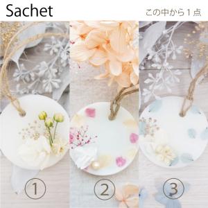 選べる ハーバリウム ボールペン サシェ 花 ...の詳細画像4