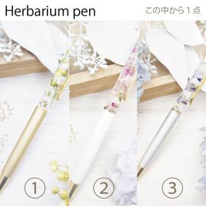 選べる ハーバリウム ペン 花 花束 誕生日 ...の詳細画像4