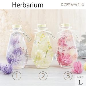 ギフトセット 人気 ハーバリウム ペン しずく...の詳細画像3