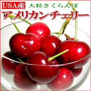さくらんぼ アメリカンチェリー 約500g アメリカ産|USA サクランボ 桜ん坊 父の日 食べ物 くだもの お中元 ギフト プレゼント 夏