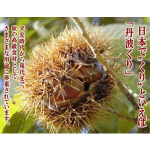 丹波栗 たんばくり 2Lサイズ 約1kg 送料...の詳細画像2