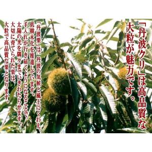 丹波栗 たんばくり 2Lサイズ 約1kg 送料...の詳細画像4