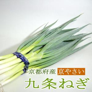 ねぎ　九条ネギ　くじょうねぎ　　6本前後入り　京都産　　京野菜　京都伝統野菜　京やさい　葱　青ネギ　母の日｜tobaisa