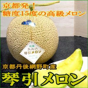 メロン あみの琴引メロン こびきメロン 大玉 2Lサイズ2個入り 浜 京のブランド産品 京都産|お中元 ギフト プレゼント 網野 丹後メロン