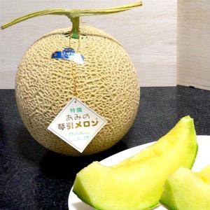 あみの琴引メロン あみのことびきめろん 大玉 2Lサイズ 2個入り（特選品）絹 京都産 京のブランド産品|網野 京丹後メロン お中元ギフト プレゼント