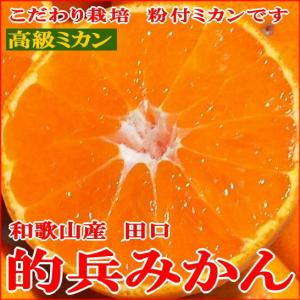 田口 的兵みかん まとひょうみかん 小粒 2Sサイズ 約5kg 71個前後入り 和歌山産 有田 |高級 蜜柑 ミカン SS 小玉 ギフト プレゼント