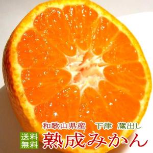 みかん  訳あり 熟成みかん 小玉 2S〜Sサイズ 約2.5kg 30〜45個前後入り 下津みかん 蔵出し 和歌山産 本貯蔵|紀州 ミカン 蜜柑