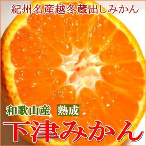蔵出し 熟成みかん 本貯蔵 小玉 Sサイズ 約5...の商品画像