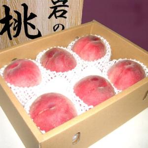 韓国チャメ10kg 送料無料冷蔵便】韓国産 チャメ 10kg (43〜45玉入) 季節数量限