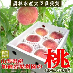 お中元 送料無料 加納岩果実園の桃 もも 中玉 6個入り 化...
