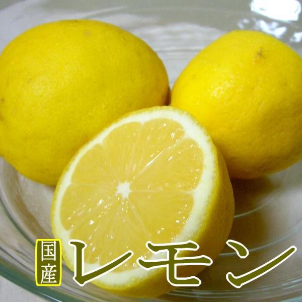 和歌山産 レモン 黄色  Lサイズ 約5ｋｇ 35個前後入り|イエロー 檸檬れもん ビタミンC 国産...