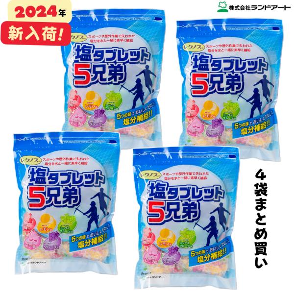 2024年最新入荷 ４袋まとめ買い ランドアート 塩タブレット5兄弟 (500g x 4袋入） 塩飴...