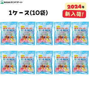 （10袋まとめ買い）レクノスの塩タブレット クールMIX 袋入タイプ 500gx10袋 約1850粒 ランドアート 塩タブレット５兄弟 2024年入荷商品｜現場屋本舗Yahoo!店