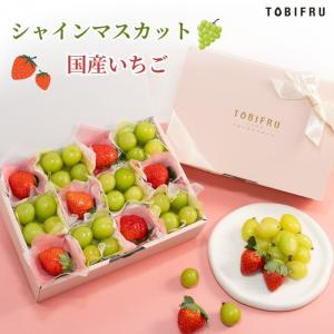 ギフト フルーツ 果物 フルーツ詰め合わせ《スタンダード》ぶどう