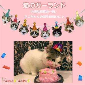 猫用のお誕生日ガーランド 誕生日 猫 ネコ バースデー 猫用 かわいい おしゃれ ペット ネコちゃん用 記念日 誕生日 紐付き｜tobita-store