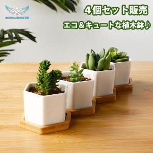 植木鉢 ４個セット　母の日 ガーデニングオブジェ 鉢植え 多肉植物　観葉植物　サボテン ミニ プランター おしゃれ 可愛い｜tobita-store