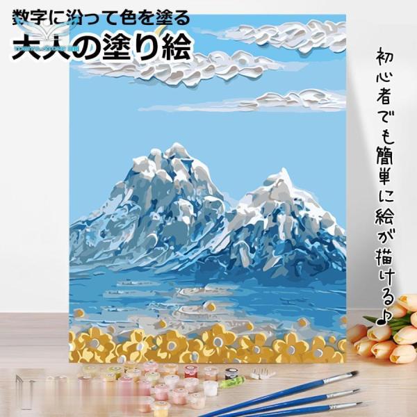 大人の塗り絵 数字キット フレーム付き 50x40cm ナンバーペイント 絵画 アクリル絵の具 塗り...