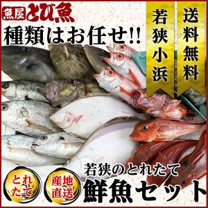 [ 水揚次第発送 ] ≪家計応援価格≫ 朝獲れ 鮮魚セット 詰め合わせ 福井県産 国産 産地直送 特大 業務用サイズ 天然 獲れたて 美味しい 0950