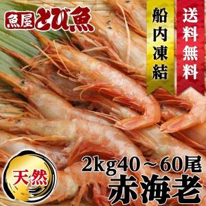 人気 お刺身 OK 天然 赤エビ 2kg 約40-60尾 赤海老 アカエビ あかえび アルゼンチン赤えび 海鮮 生食可送料無料