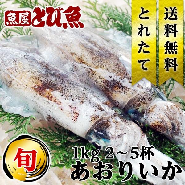 [ 水揚次第発送 ] アオリイカ 1kg 2〜5杯 福井県産 国産 産地直送 業務用 お徳用 漁師 ...