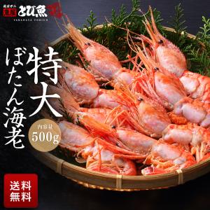 特大 ボタンエビ 500g （約11尾前後） 子持ち 鮮度抜群 牡丹海老 ぼたんえび 海老 えび エビ 送料無料