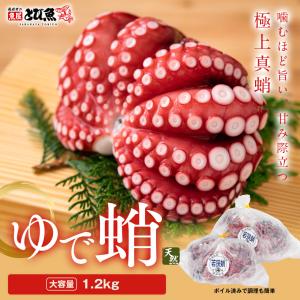 【送料無料】若狭湾産 ゆでだこ 約1.2kg (2〜3杯) ボイル済み 国産 冷凍 真ダコ タコつぼ漁 刺身用 おつまみ サラダ たこ焼き 高たんぱく 低カロリー btako2505