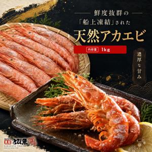 アルゼンチン赤エビ 1kg 刺身用 冷凍 赤えび 海老 エビ 濃厚 甘み 寿司ネタ お刺身 焼きエビ 海鮮鍋 BBQ 海鮮 お取り寄せグルメ 大容量 魚屋とび魚 ebi2605