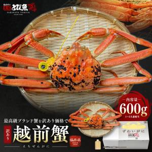 【予約★11月上旬発送】【先行予約クーポンで今だけ早割】訳あり 越前ガニ 600〜700g未満 未冷凍 (活 ボイルから選べる) 福井県産 国産 etizen-600w