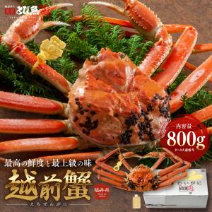 【水揚次第発送】越前ガニ 800g 未冷凍 (活 ボイルから選べる) 福井県産  etizen800