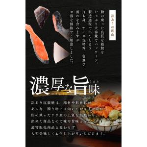 【3点購入で1000円オフ対象】【優良配送】【...の詳細画像1