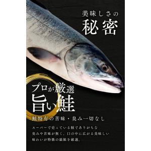 【3点購入で1000円オフ対象】【優良配送】【...の詳細画像2