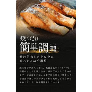 【3点購入で1000円オフ対象】【優良配送】【...の詳細画像3