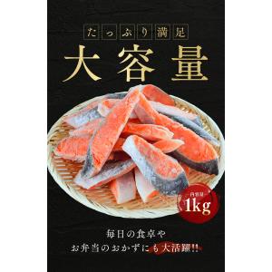 【3点購入で1000円オフ対象】【優良配送】【...の詳細画像4