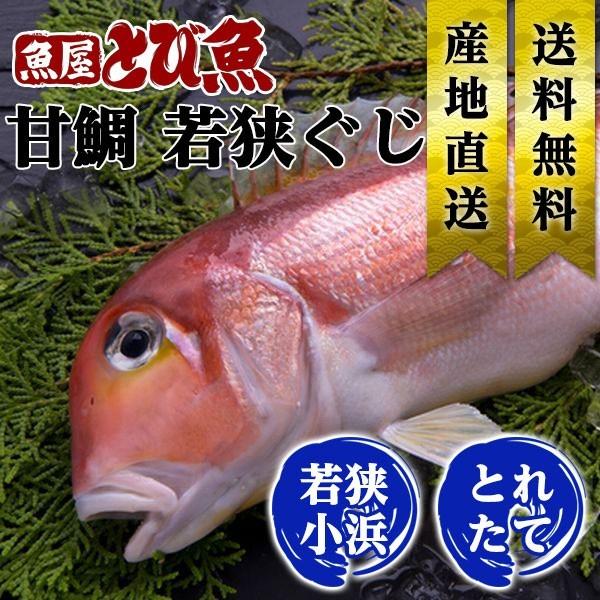 [ 水揚次第発送 ] ≪家計応援価格≫ 若狭ぐじ 甘鯛 約400g 福井県産 国産 産地直送 食べや...