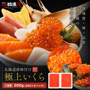 【最高級 3特級グレード】北海道産 いくら 大容量 500g (250g×2パック) 鮭イクラ 瞬間冷凍 天然秋鮭 完熟卵のみ使用 送料無料 ik2310-500g｜tobiuo