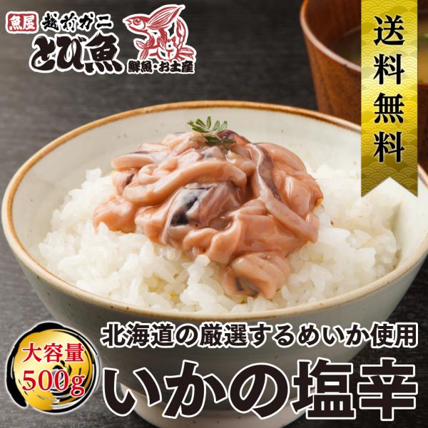 国産 いかの塩辛 500g 北海道の厳選するめいか使用 国産原料 国内加工 イカ しおから