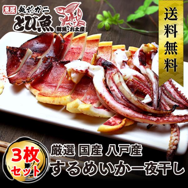 するめいか一夜干し するめ  (甘塩) 3枚入り 真いか 青森県 八戸産 するめいか スルメイカ 日...